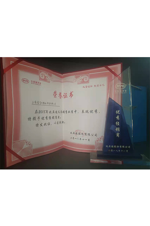 邳州市比亚迪2018优秀经销商